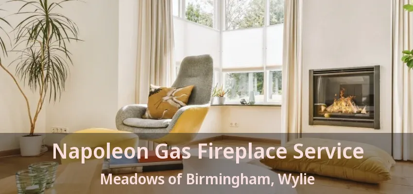 Napoleon Gas Fireplace Service Meadows of Birmingham, Wylie - TX