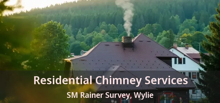 Residential Chimney Services SM Rainer Survey, Wylie - TX