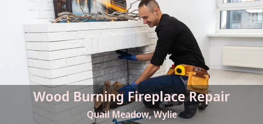 Wood Burning Fireplace Repair Quail Meadow, Wylie - TX