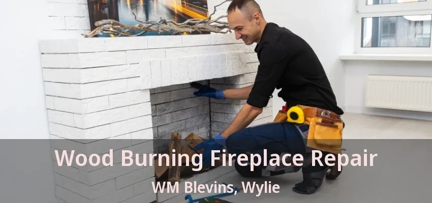 Wood Burning Fireplace Repair WM Blevins, Wylie - TX