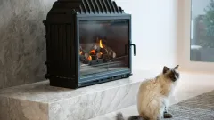 Wood Burning Fireplace Repair Dominion of Pleasant Valley, Wylie