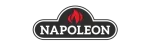 Napoleon Enviro Fireplace Repair in Wylie